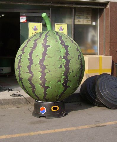 42.jpg