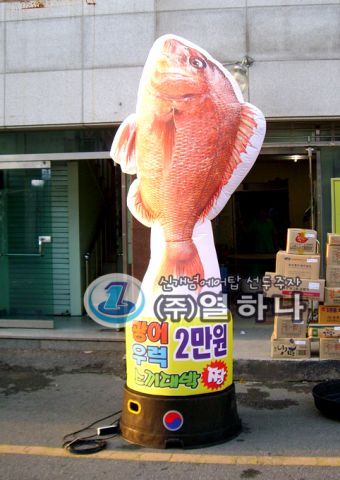 59.jpg