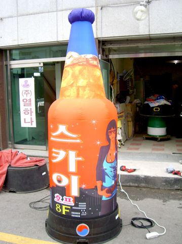 51.jpg