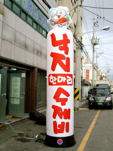 48.jpg