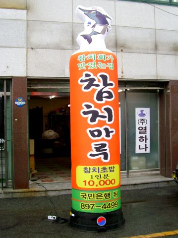 08.jpg